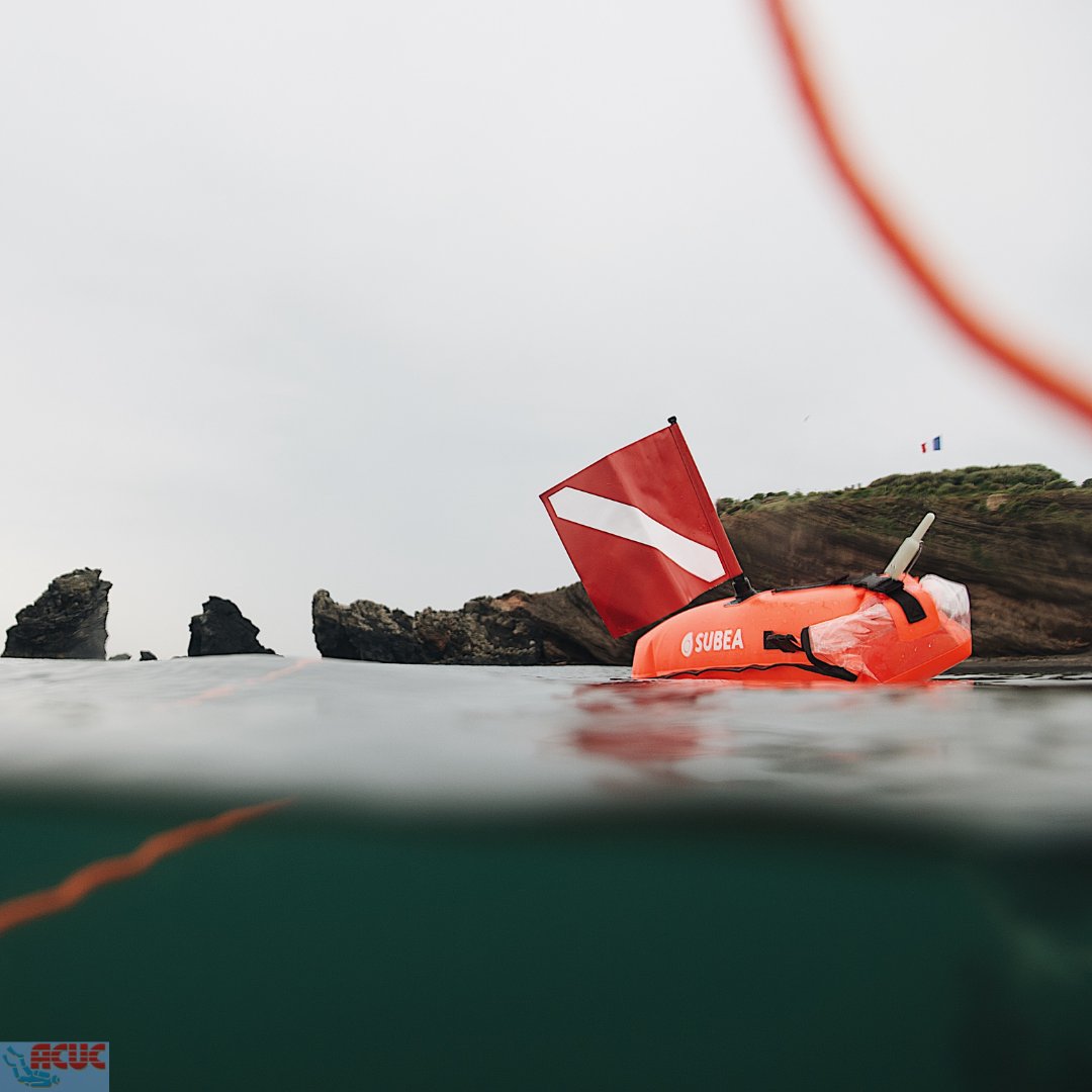 acucint's tweet photo. 🇪🇸 Las #BoyasDeBuceo son siempre recomendables 🤿⚠

(Salvo en buceos en cuevas y bajo hielo).

Y es que su función principal es marcar la posición del grupo de buceadores, permitiendo:

(👇🧵)

#Buceo #BuceoRecreativo #EquipoDeBuceo #CursosDeBuceo #CursosACUC #ACUC https://t.co/sXMYnndV9K