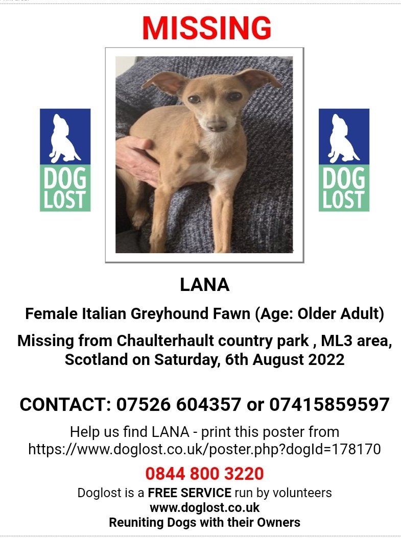 MissingPetsGB's tweet image. 🐕 LANA was lost on August 6, 2022 in Chaulterhault country park
South Lanarkshire #Scotland #ML3 7UE near Broadfoot farm quarter 
Lana is a very nervous timid dog if you see her don’t try to catch her.
She is a 9 year old Fawn Italian greyhound. Please RT doglost.co.uk/dog-blog.php?d…