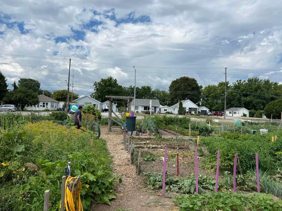 VoteRobertsonCK's tweet photo. Yesterday while out on the trail, Kelley and I stopped at a Community Garden and were simply amazed by the dedication of #ckont volunteers. We had an opportunity to visit with some dedicated gardeners and “Farmer Kelley” learned a couple of new tricks of the trade. https://t.co/A9eloE1ScH