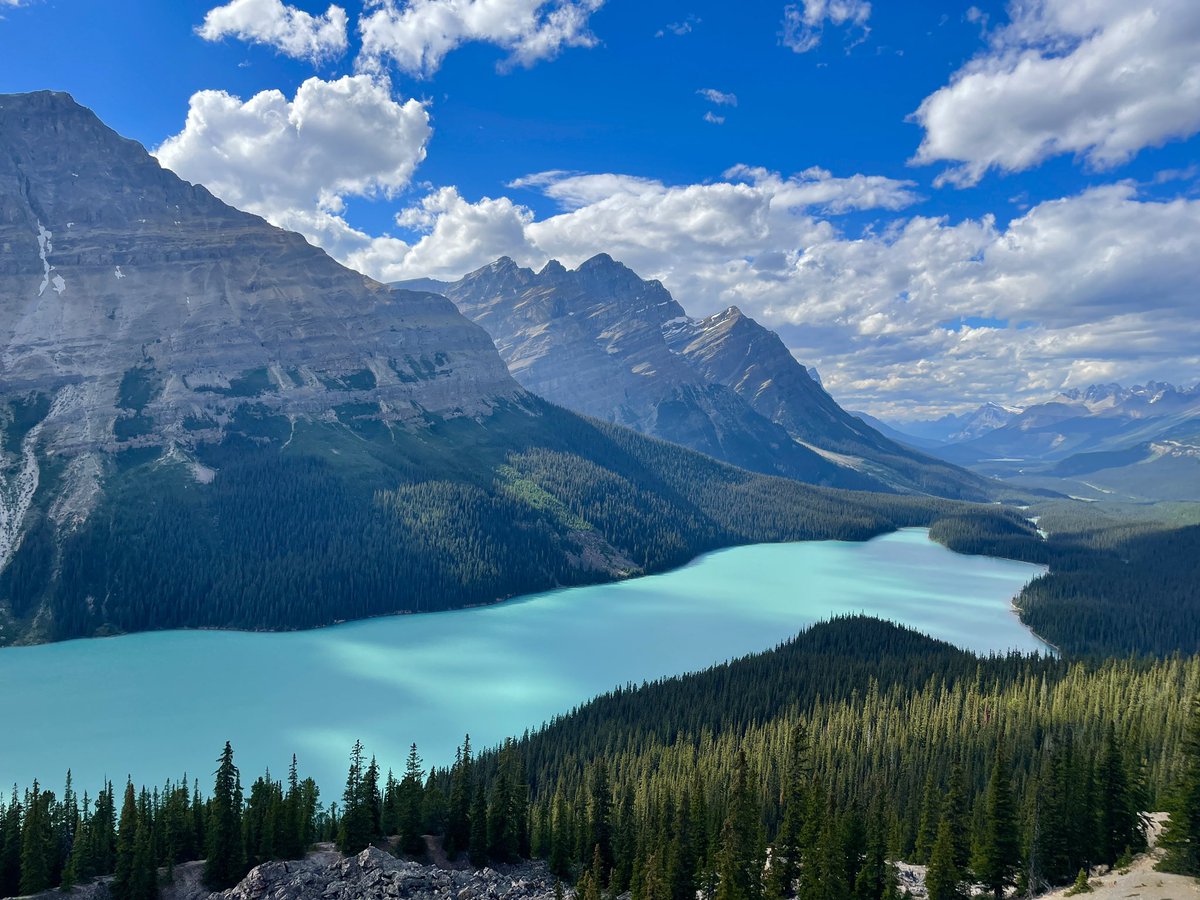 What do you see in the shape of Peyto Lake in Banff National Park? We see a wolf’s head. 🐺

Impressive views all along the Icefields Parkway in Banff &amp; Jasper National Parks!

<a href="/banfflakelouise/">Banff & Lake Louise Tourism</a> <a href="/ParksCanada/">Parks Canada</a> 

#sponsored