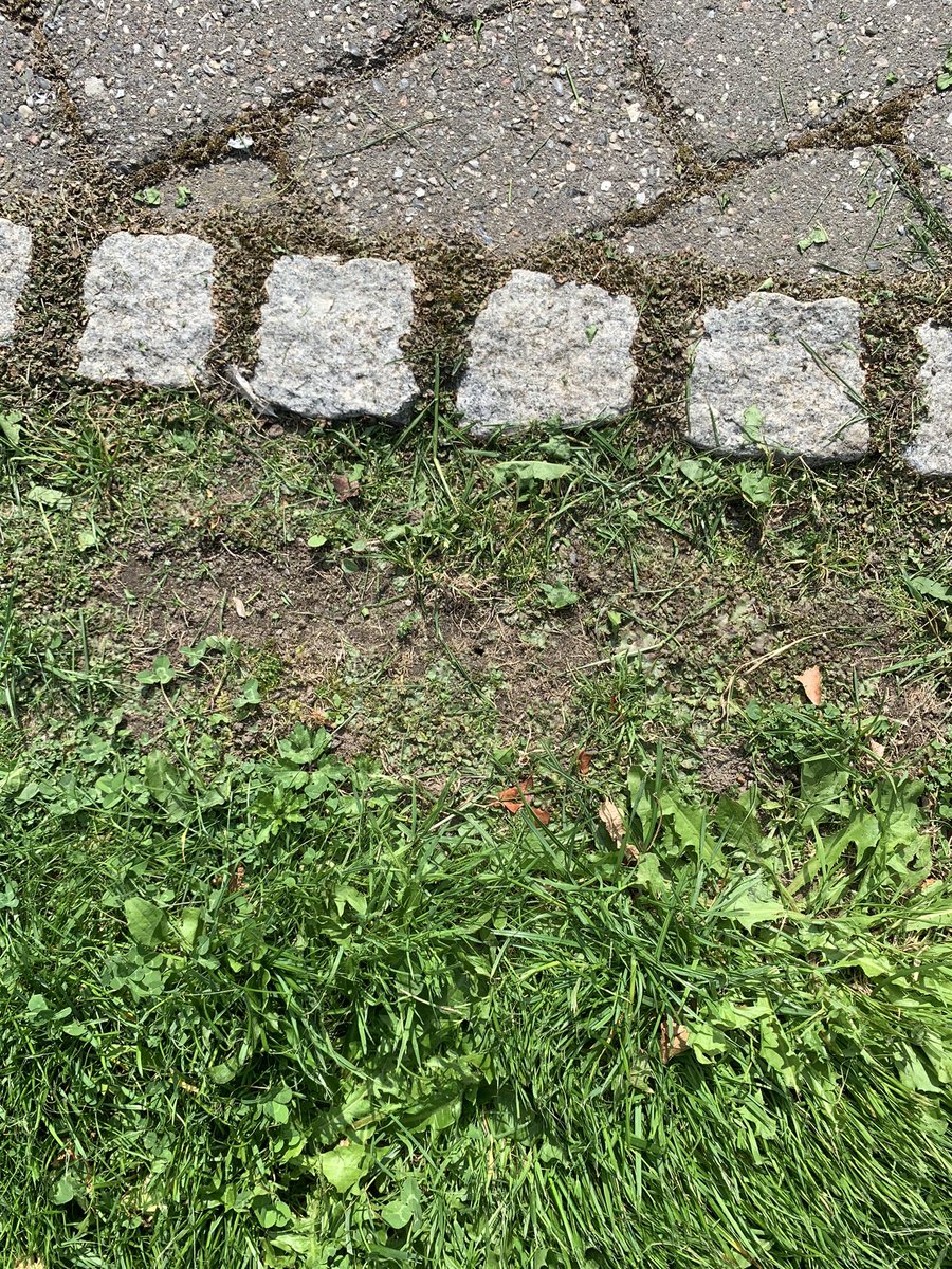 Søren Malling tweet media