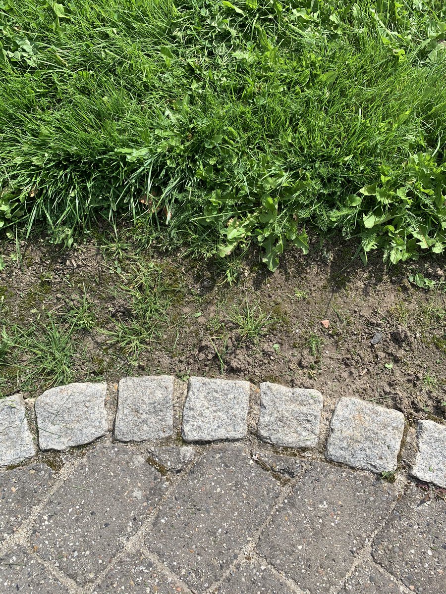 Søren Malling tweet media