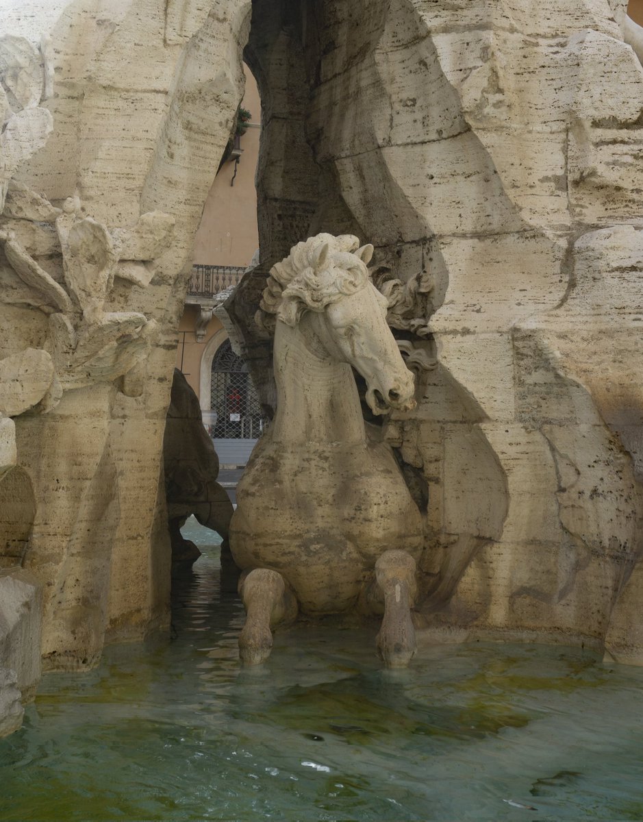 Jugando a ser fotógrafos tweet media