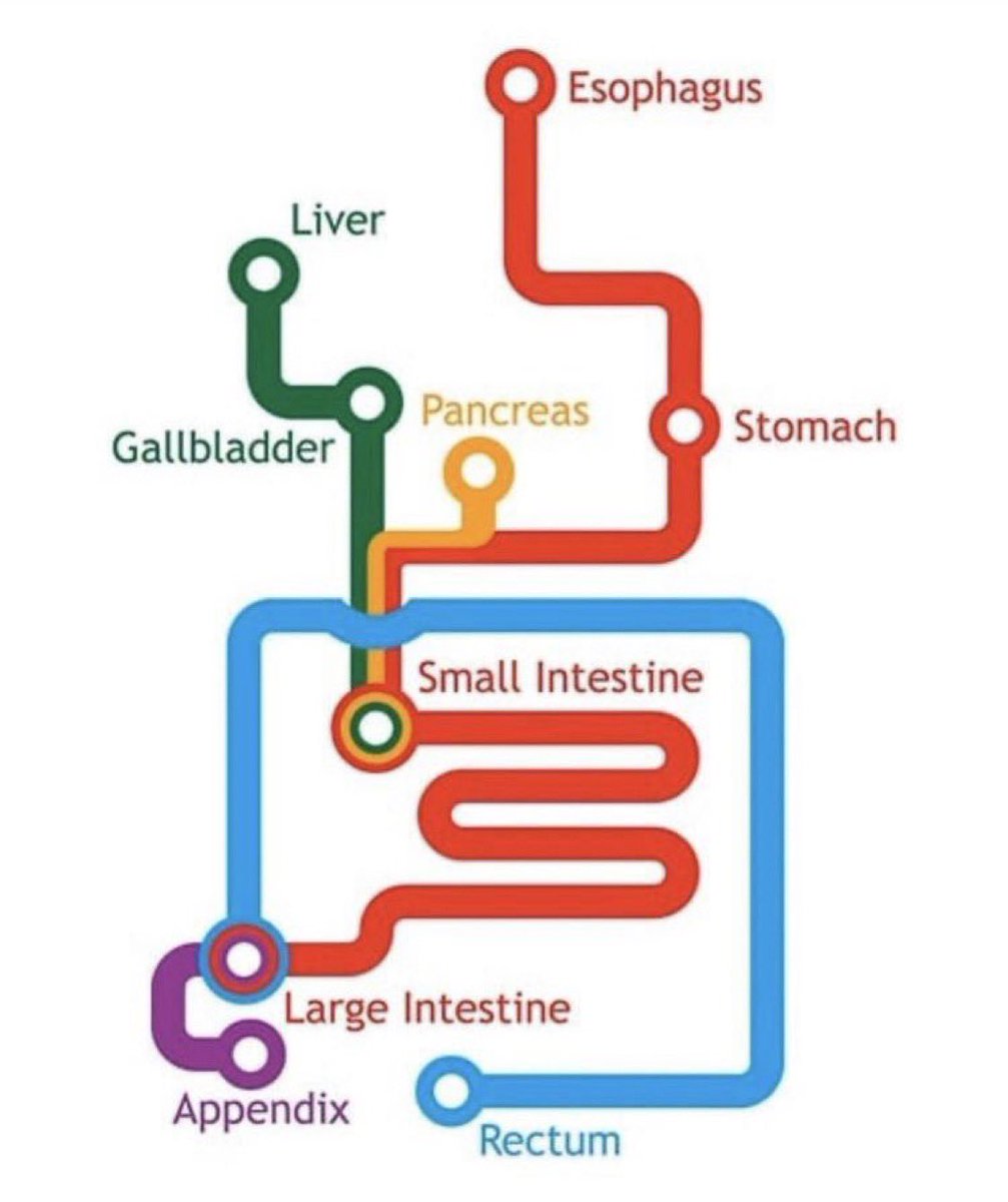 Harish K. Gagneja (@hgagneja) on Twitter photo GI Subway map for you….<a href="/AmerGastroAssn/">American Gastroenterological Association (AGA)</a> <a href="/AmCollegeGastro/">ACG</a> <a href="/TexasGastros/">Texas Society for Gastroenterology and Endoscopy</a> <a href="/AustinGastro/">Austin Gastro</a> <a href="/GI_Alliance/">GiAlliance</a> <a href="/ASGEendoscopy/">ASGE GI Endoscopy</a> #MedTwitter #GITwitter GI Subway map for you….<a href="/AmerGastroAssn/">American Gastroenterological Association (AGA)</a> <a href="/AmCollegeGastro/">ACG</a> <a href="/TexasGastros/">Texas Society for Gastroenterology and Endoscopy</a> <a href="/AustinGastro/">Austin Gastro</a> <a href="/GI_Alliance/">GiAlliance</a> <a href="/ASGEendoscopy/">ASGE GI Endoscopy</a> #MedTwitter #GITwitter