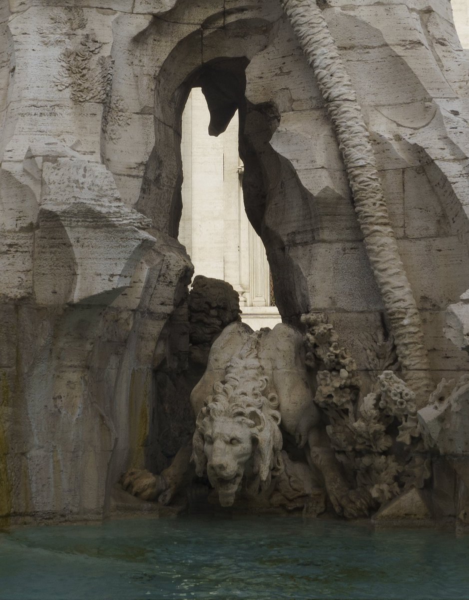 Jugando a ser fotógrafos tweet media