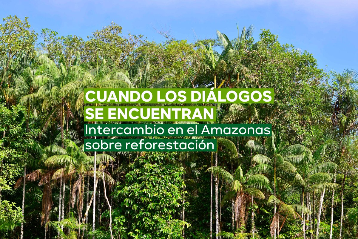 EnvolVertLatino's tweet image. El pasado mes de julio, tres ONG ambientales  organizamos un intercambio entre comunidades de la Amazonia, el Caribe y la Región Andina. Descubre qué fuimos a hacer envol-vert.org/es/actualidade… #EnvolVert #Conservación #Amazonas