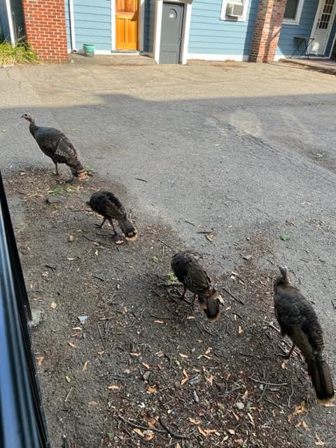 Glad to see our newest walking mediation group!!