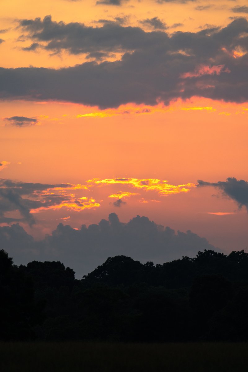 KacperLewtak's tweet photo. North Carolina can have some gorgeous sunsets. I try to keep my camera around for those moments (though not always successfully) and I wanted to share some of my favorites from the past few weeks. #sunset #NorthCarolina #photography https://t.co/quKzntkQwB