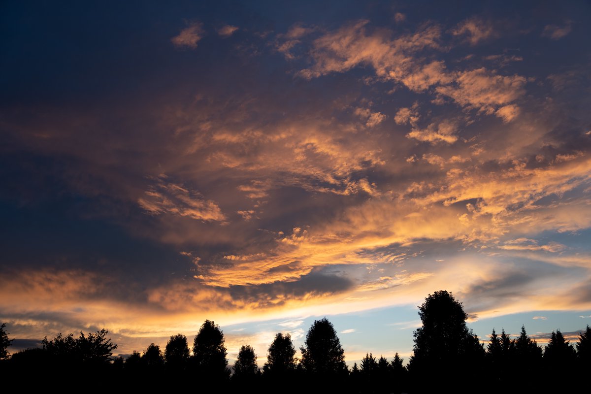 KacperLewtak's tweet photo. North Carolina can have some gorgeous sunsets. I try to keep my camera around for those moments (though not always successfully) and I wanted to share some of my favorites from the past few weeks. #sunset #NorthCarolina #photography https://t.co/quKzntkQwB