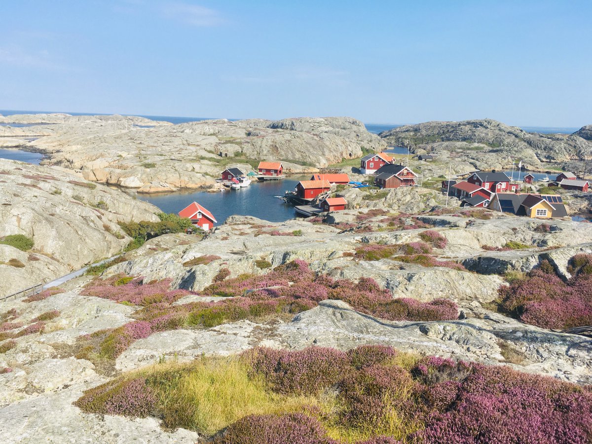 Our team member snapped this beautiful vacation pic of the Swedish shoreline! AC's work helps keep pristine waters like these available for all of us on vacation this summer. When we reduce the amount of new clothing made, we keep toxins out of waterways and reduce water usage.