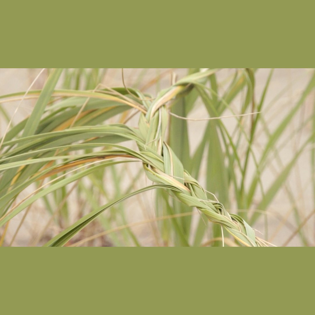 Port Manteau presents a temporary docking station to consider the expression and preservation of intersecting cultural identities.

Opening September 10th at Artspace New works by Mikiki, curated by former Artspace co-director Lucas Cabral