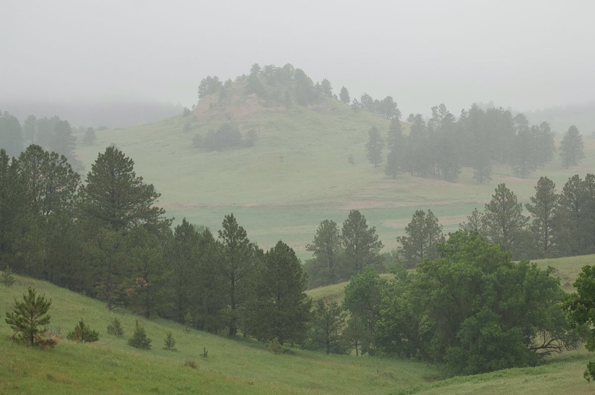 NeblandMagazine's tweet photo. Fog drifts near Bordeaux Creek in Dawes County.
The creek was named for a French fur trader who settled there.
📸: @NEBland_Haag
#Nebraskaland #OutdoorNebraska #FunFact #FoggyDay #fog @NEGameandParks https://t.co/sKCsvB0Mt0