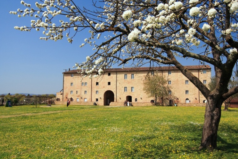 Fondazione Elsa e Bottega 26 insieme per un mese al Cassero - ilcittadinoonline.it/cronaca/provin…