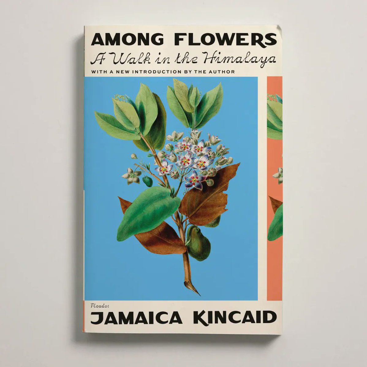 itsnicethat's tweet photo. Five designers and studios creating beautiful book covers > https://t.co/lTUGDKdJo3 https://t.co/QsQRV1HSn9