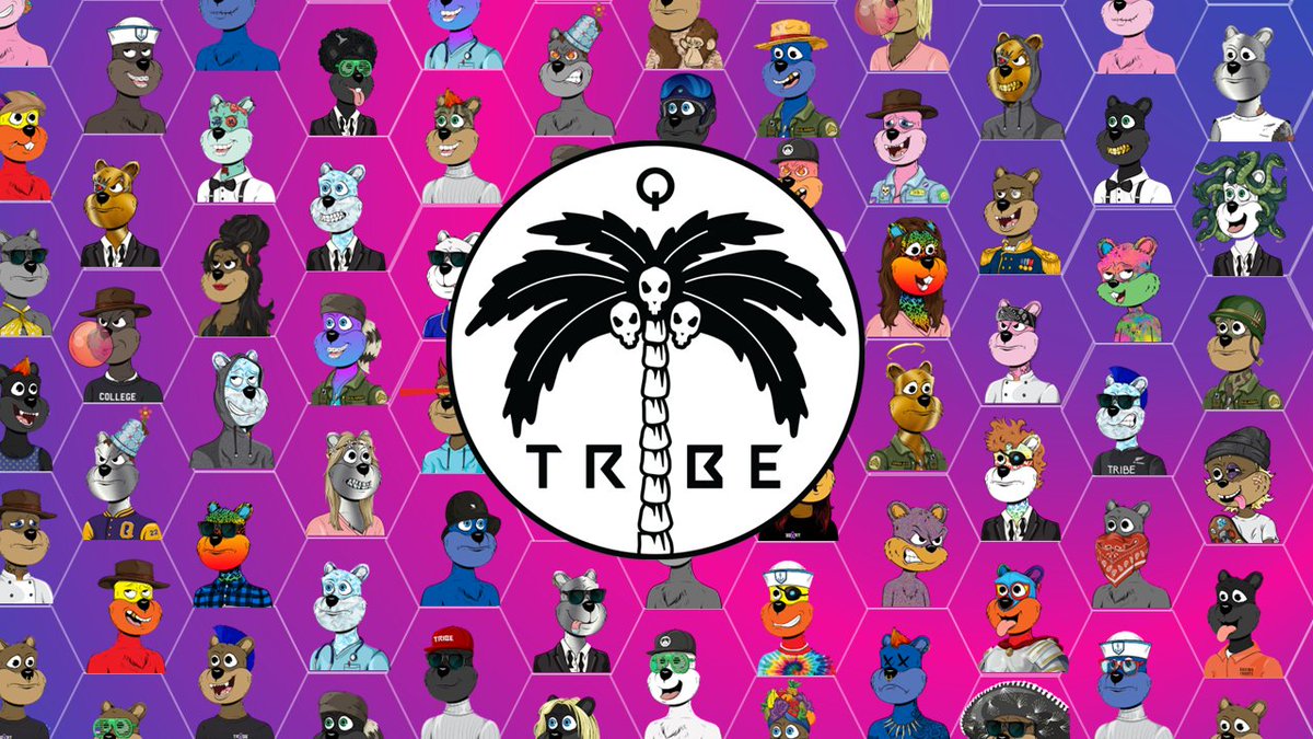 Tribe Quokka tweet media