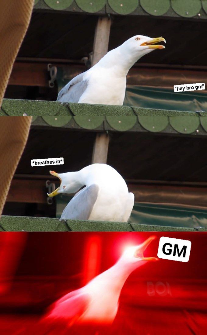 Magic Eden 🪄 tweet media