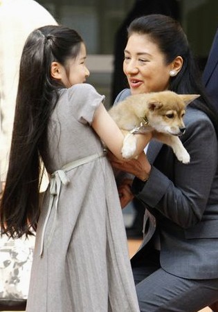 出羽ネズコ tweet media