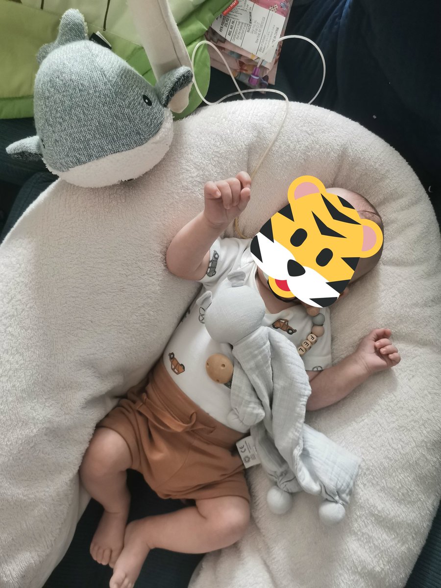 brbxe_'s tweet photo. Samen soezen, heerlijk toch. 🥰 #LittleF https://t.co/JMh2839DqL
