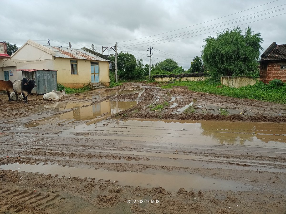 BhetorPravin's tweet photo. Honorable @sdmdhanera , there is no rain water disposal system in Vasda village of Dhanera, so puddles getting filled everywhere. It's causes many diseases like dengue and malaria by mosquitoes. As regarding above problem,request you to look into as a serious.

@CollectorBK FYI. https://t.co/GqwdeIFb5N