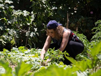 Youth #unemployment in the Arab States region is among the highest in the 🌎, #COVID19 further restricted the job market.
<a href="/UNDPArabStates/">UNDP Arab States</a> &amp; <a href="/DanishMFA/">Denmark MFA 🇩🇰</a> collaborate through the Green Growth &amp; Jobs Accelerator to support SME job creation for youth in Morocco Tunisia Egypt &amp; Jordan.