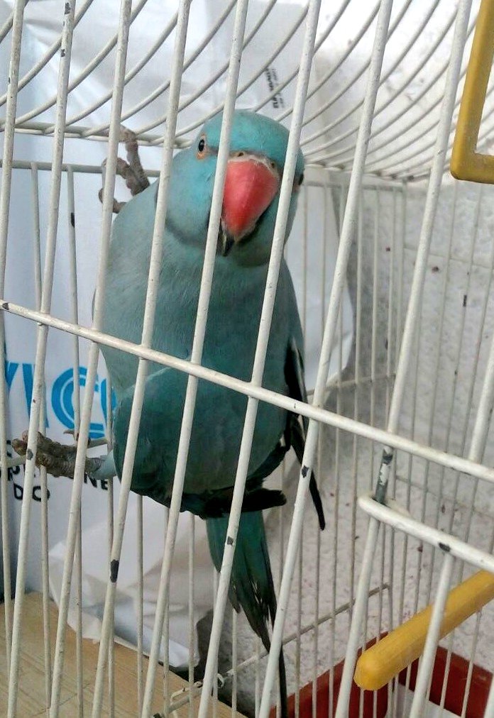 OvoNisamJa__ tweet picture