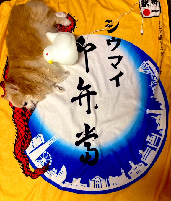 住んでる県を主張して生きてる 