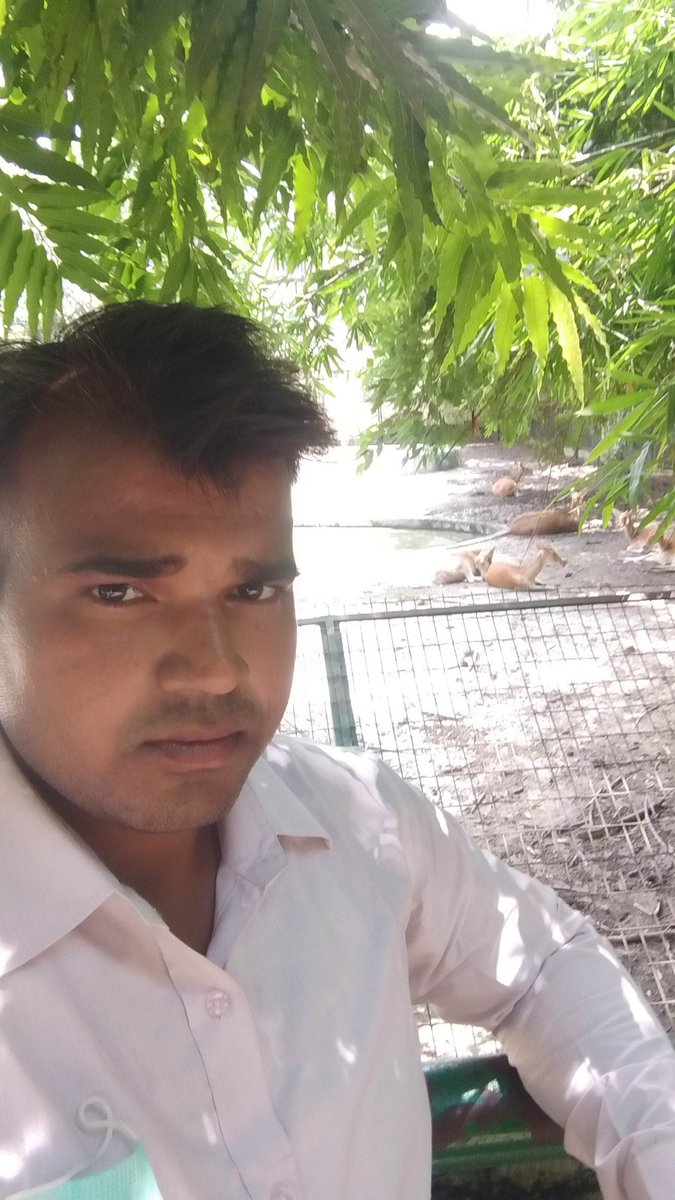 Satya pal student of Law (@satya08631805) on Twitter photo 