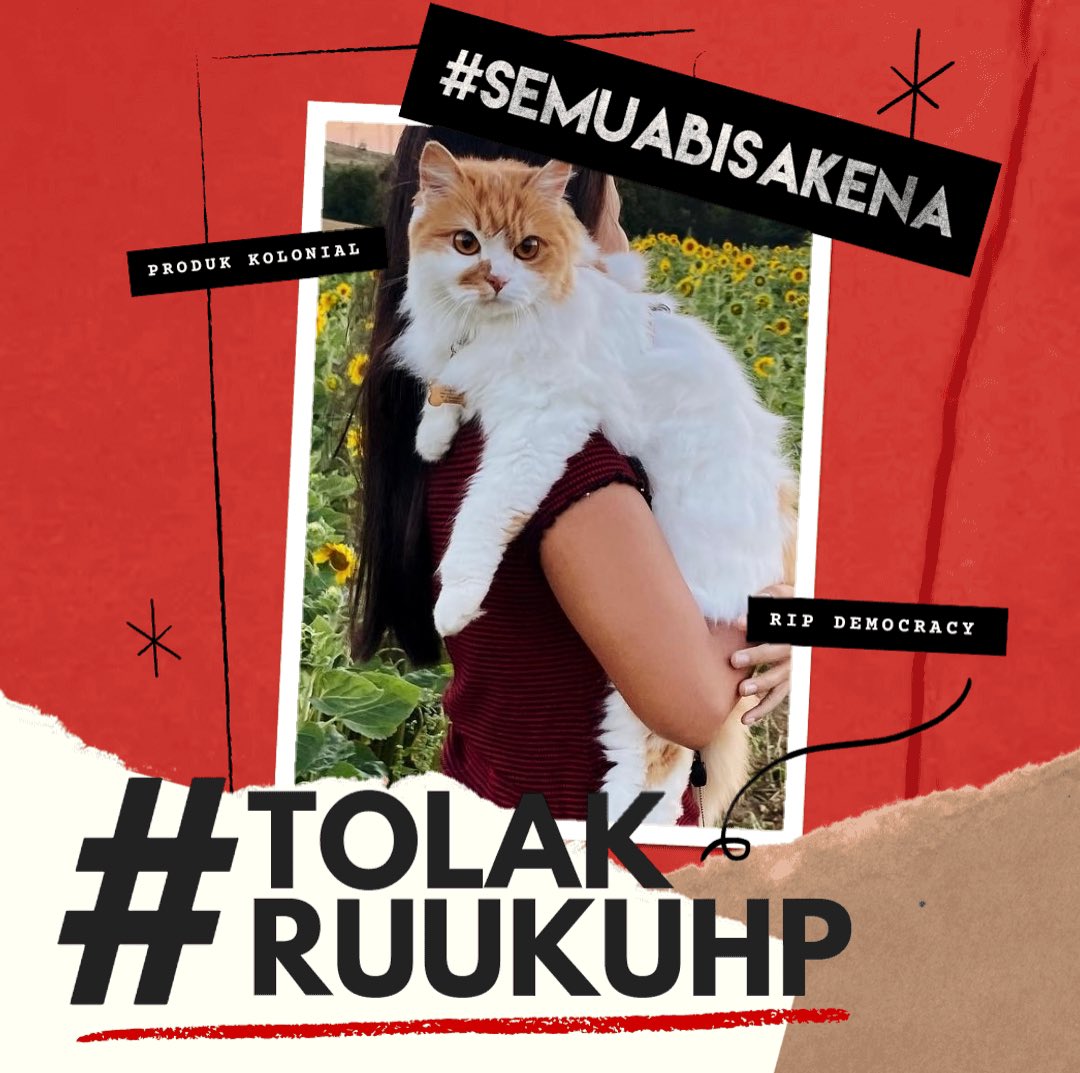 nh_handa's tweet photo. Happy Independence Day, my beloved Indonesia! Me and my cat strongly oppose the new draft bill of criminal code cos some statements are against human rights! #tolakruukuhp #semuabisakena #humanrights https://t.co/FBqHVHySYF