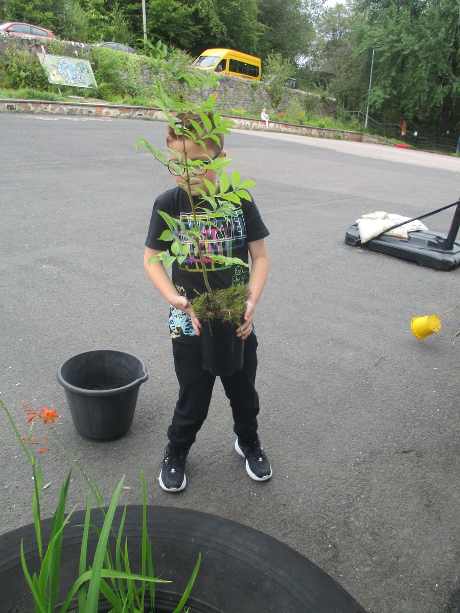 StrachurP's tweet photo. A spot of gardening this afternoon in the school grounds by  P1-4 😀 #strachur #strachurprimary #abc_OCTF #outdoorlearning #argyllandbute #weeclass  #RRS #Article29 #collaboration https://t.co/et1cfcpPVs