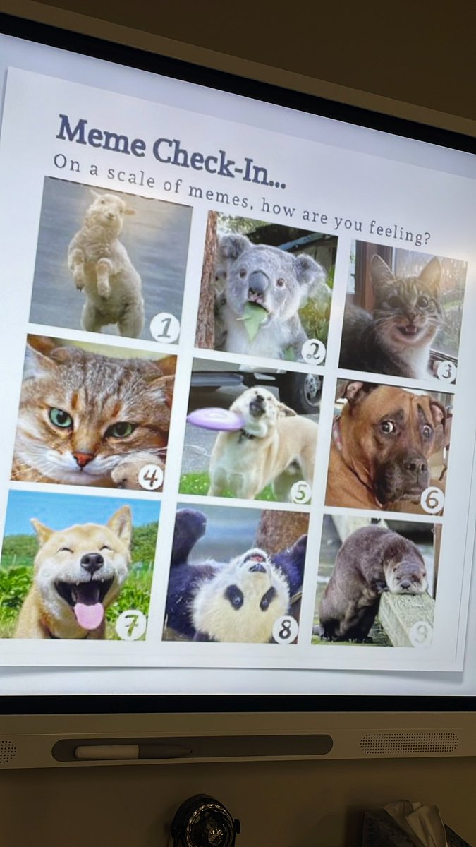 Checking in with our feelings this morning on the first day! 🙃#fielderpride <a href="/FielderElem/">Edna Mae Fielder Elementary</a>