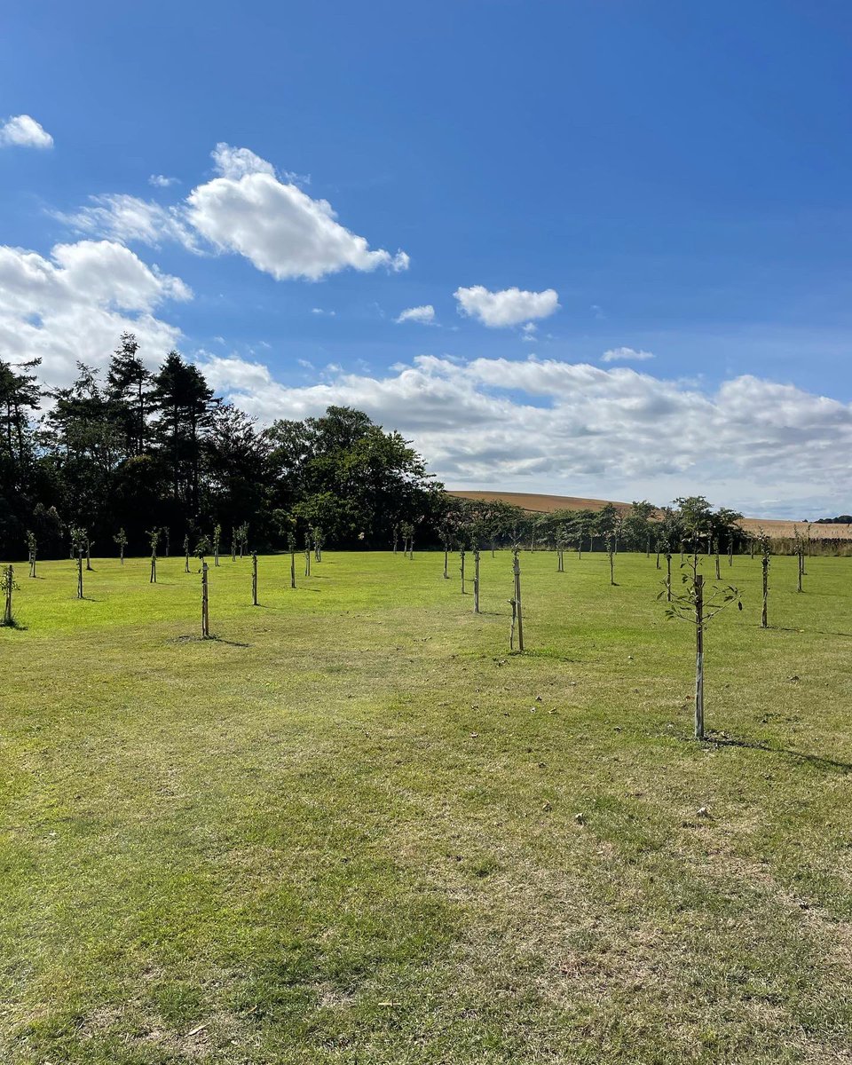 Kinkell_Byre's tweet photo. We are delighted to recieve further funding from @scotgov Nature Restoration Fund, managed by @nature_scot, providing a further boost in our mission to ‘rewild’ the farmland in which we’re located 🪴🌸

#rewilding #naturescot #naturerestorationfund @ScotGovNetZero https://t.co/j103U6oBTY