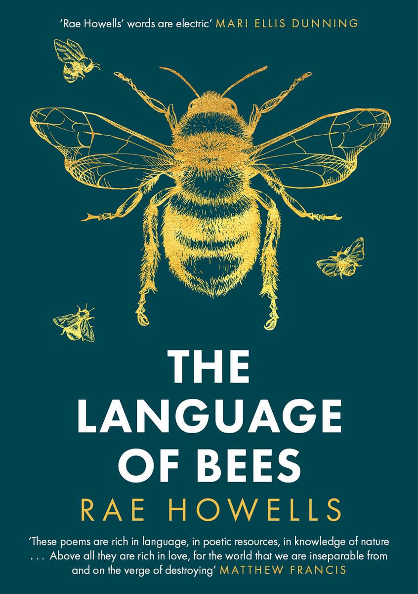 tweetbytheriver's tweet image. We have 3 copies of @raehowells' 'The Language of Bees' to give away on tomorrow's newsletter, courtesy of @parthian. Make sure you're signed up to our mailing list for the opportunity to enter 🐝🐝🐝