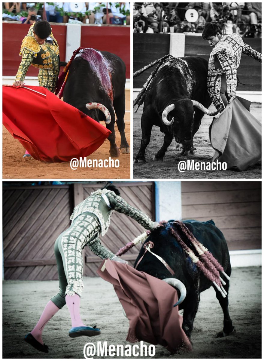🔴 GUIJUELO
Imágenes de la buena tarde de ayer con #Garrido #AlejandroMarcos y #Diosleguarde ante un buen y variado encierro de <a href="/puertoslorenzo/">Puerto d San Lorenzo</a> con un toro premiado con la VR
Estas imágenes y más en <a href="/aplausos/">Aplausos</a> 👇👇