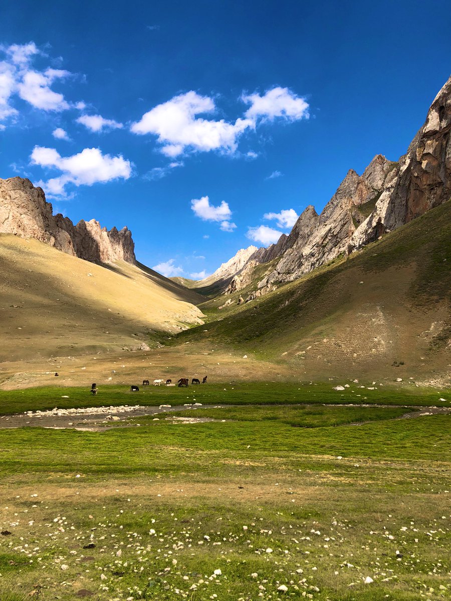 anatoliacaracal's tweet photo. Orta Asya’da Tanrı Dağları’nın Zirvelerini, eski İpekyolu geçitlerini  aşarak geçiyoruz. 4000 m rakımda kendimi keşfediyorum. Bu macera sonunda Orta Asya’da 3500 km yapmış olacağım. Bir sonraki internet zamanım ne zaman olur bilmiyorum… https://t.co/w9QFOVoG9q
