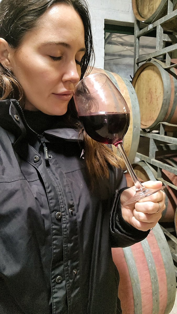 The Garajeest. tweet media