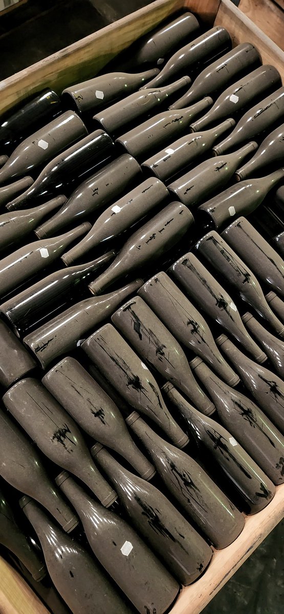 The Garajeest. tweet media