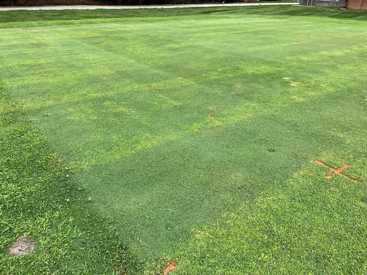 Virginia Tech Turfgrass Science tweet media