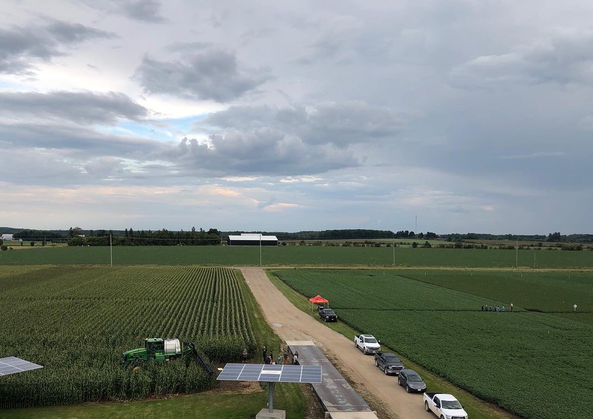 BGFservices's tweet photo. We had a great night of conversation and food at our plot event last night. Thanks to @Prograin_inc @clemon_11 and @maizexseedscanada for making it a successful night. #soybeans #corn #ontag #canadianag #farming https://t.co/SfRX0Ssugv