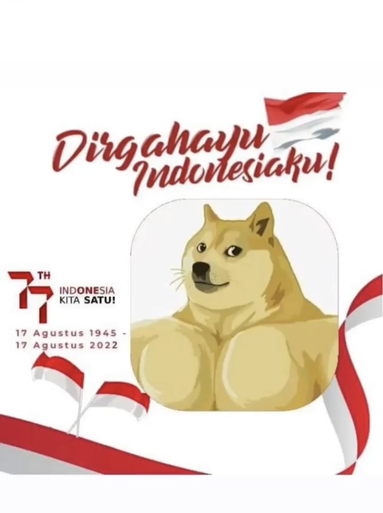 Kojima🍥 tweet media