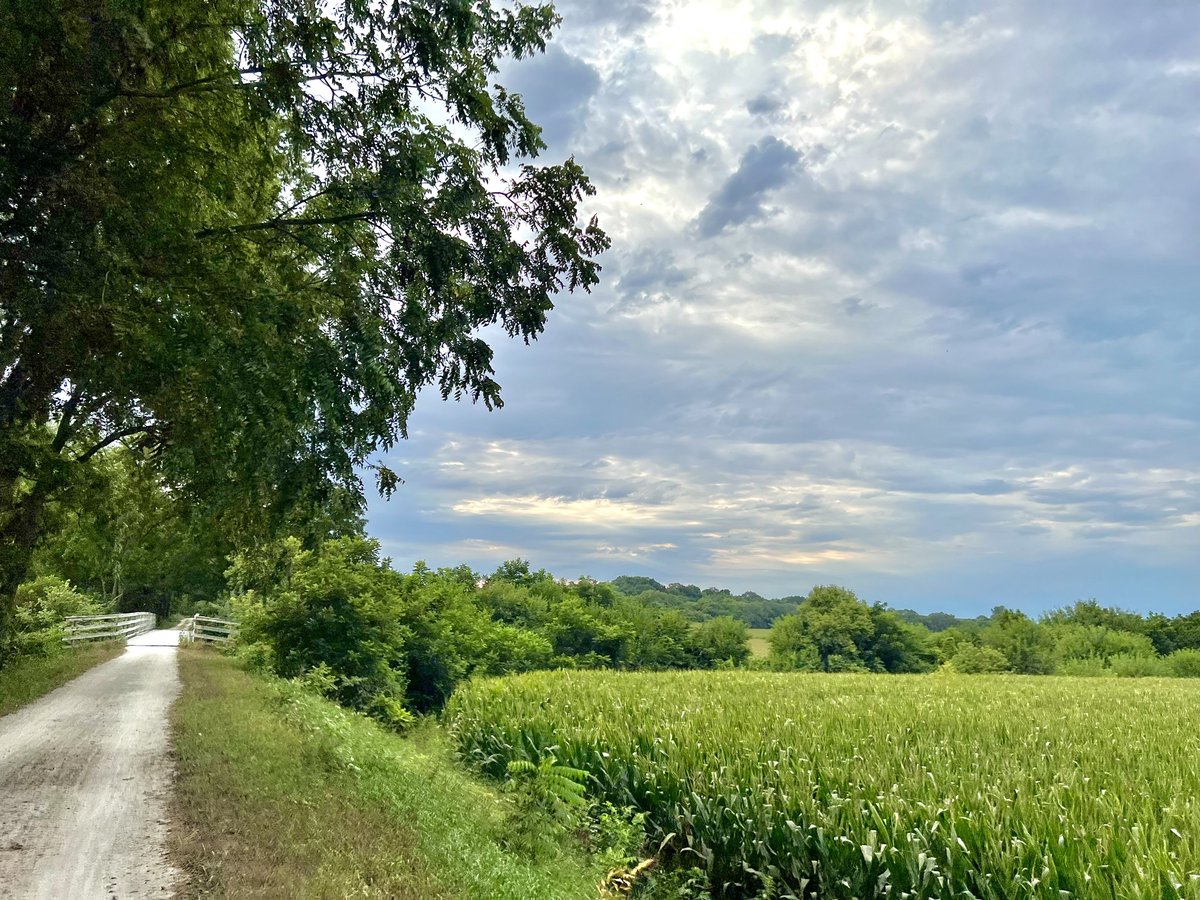 wabashtrace's tweet photo. Keg Creek Bridge, west of Mineola, IA #WabashTrace #WabashTraceNatureTrail https://t.co/aLYUU0DJFC