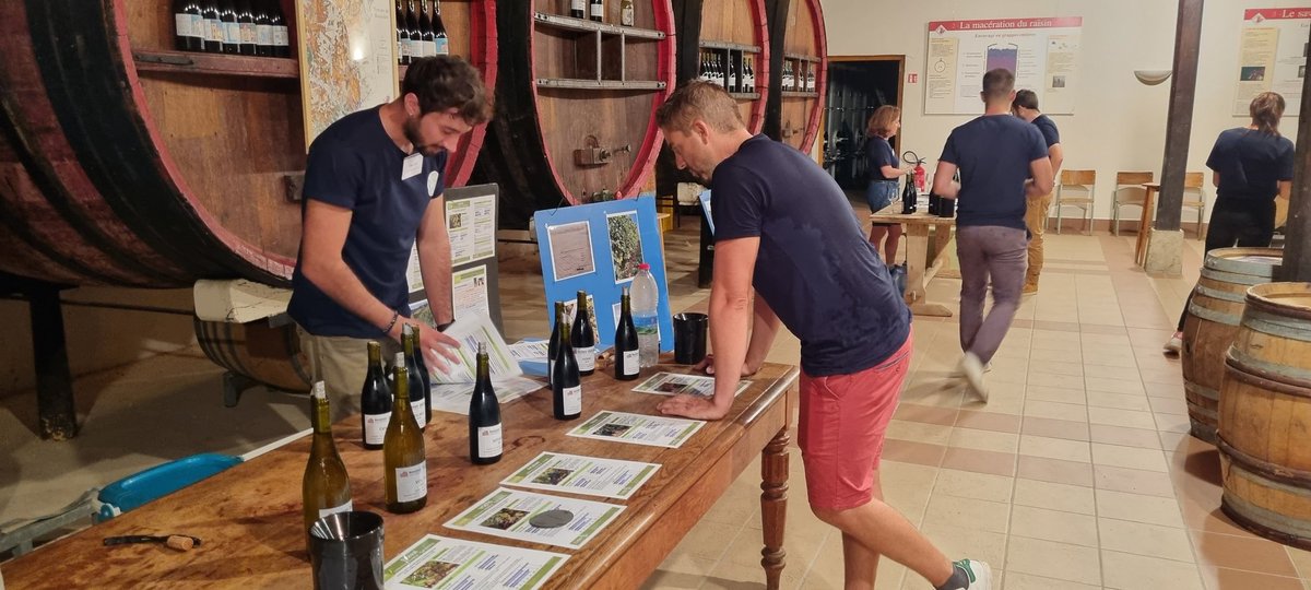 On confirme que notre parcelle ouverte se transforme en portes ouvertes au Château de l'éclair. On vous attend au sec ⛈️🌝