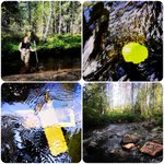 Photo by Stream Ecology UniOulu (@StreamUnioulu)