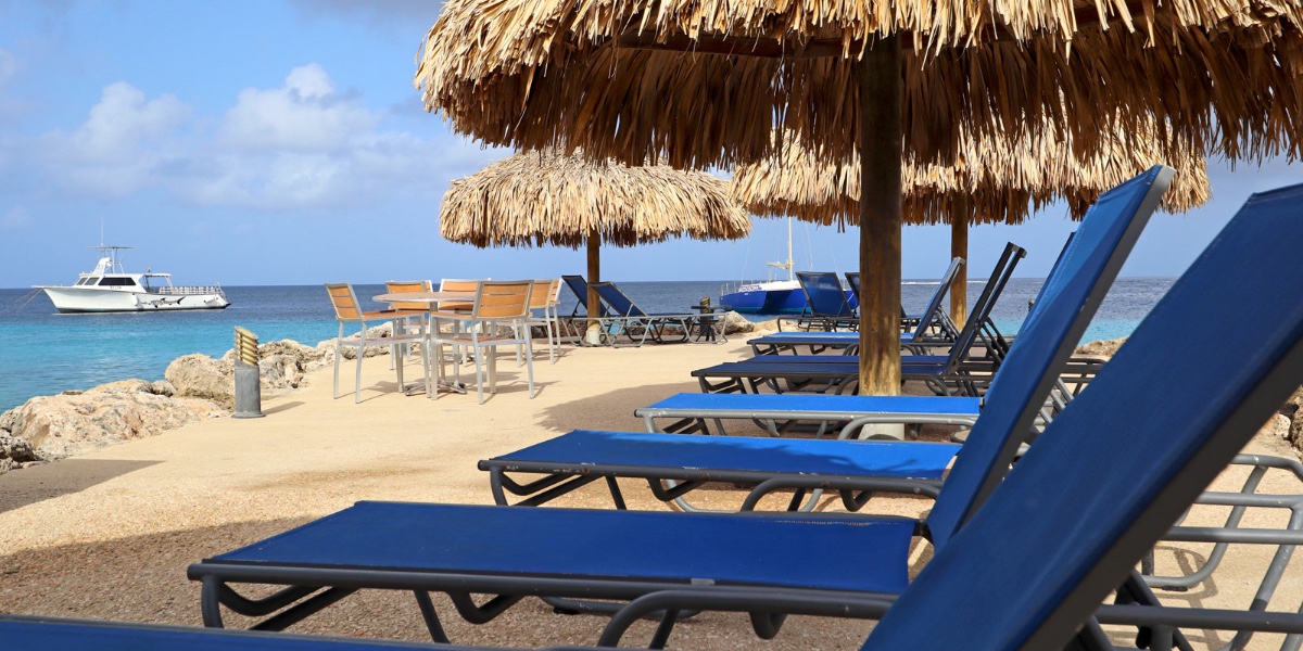 DiviResorts's tweet photo. Are you dreaming of paradise?
Well, make that dream a possibility!
Be sure to enter our Content Contest! πΈ
Enter by:
1. Follow Divi Resorts on Instagram
2. Post your best Divi vacation content on Instagram with #PickMeDiviFall2022
Winner receives a FREE 5-Night/6-Day stay! https://t.co/Q7ddxxdns0