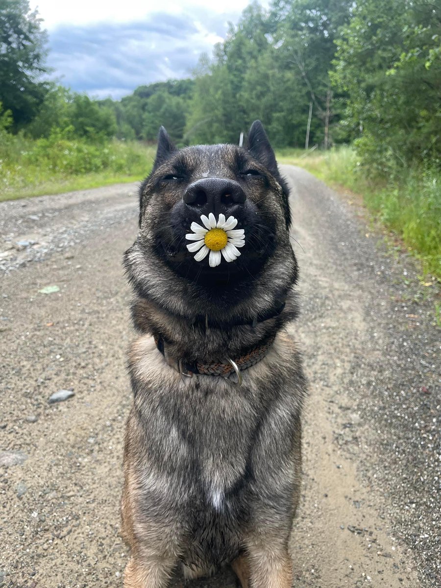 Ryker says wake up and smell the daisies!