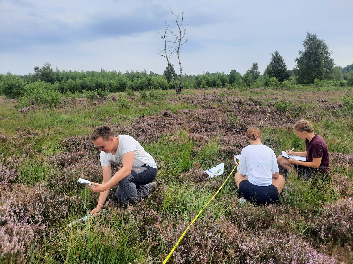 ManaGharun's tweet photo. Vegetation assessment is an integral part of our #eddycovariance measutements. And teaching @WWU_Muenster students how to do it is the best part of my day! #ecology #micrometeorology #peatlandsunderpressure #ClimateEmergency https://t.co/4AltL0gWAR