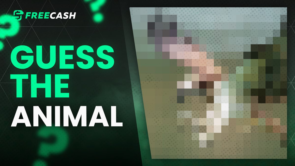 freecashcom's tweet photo. GIVEAWAY I Guess the animal 🧐
Just RT + comment your answer and at least one person will win $50 💸

By the way: Always make sure to be active. 
We are randomly rewarding people that always show love to what we do ❤️ https://t.co/9V3XfsjNMY