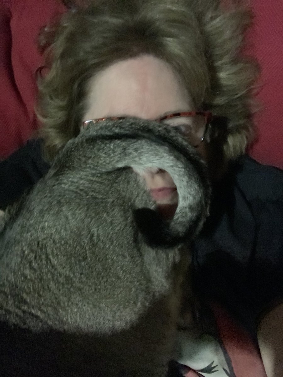 leet_muffin's tweet photo. Help? #Monkeytail 🐒 https://t.co/EVZ00zmTOn