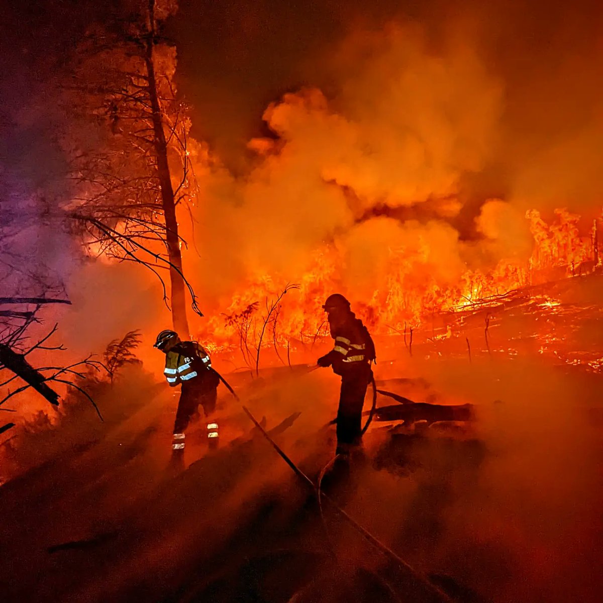 bomber_forestal's tweet photo. Nada puede esconder lo que somos. Nadie puede silenciar lo que hacemos. Nunca nos rendimos. Siempre #BombersForestals https://t.co/xlqeCmNnh2