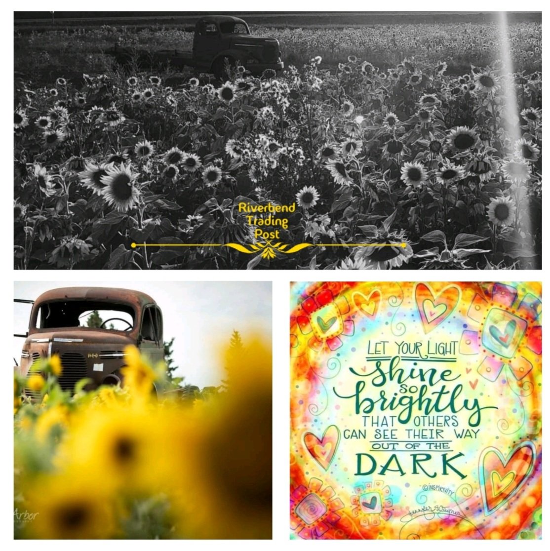 Sunflower_upick's tweet photo. #SunflowerFarmer @Sunflower_upick #SunflowerFarm #Sunflowerfield #Happiness https://t.co/WNJMFUlBmE