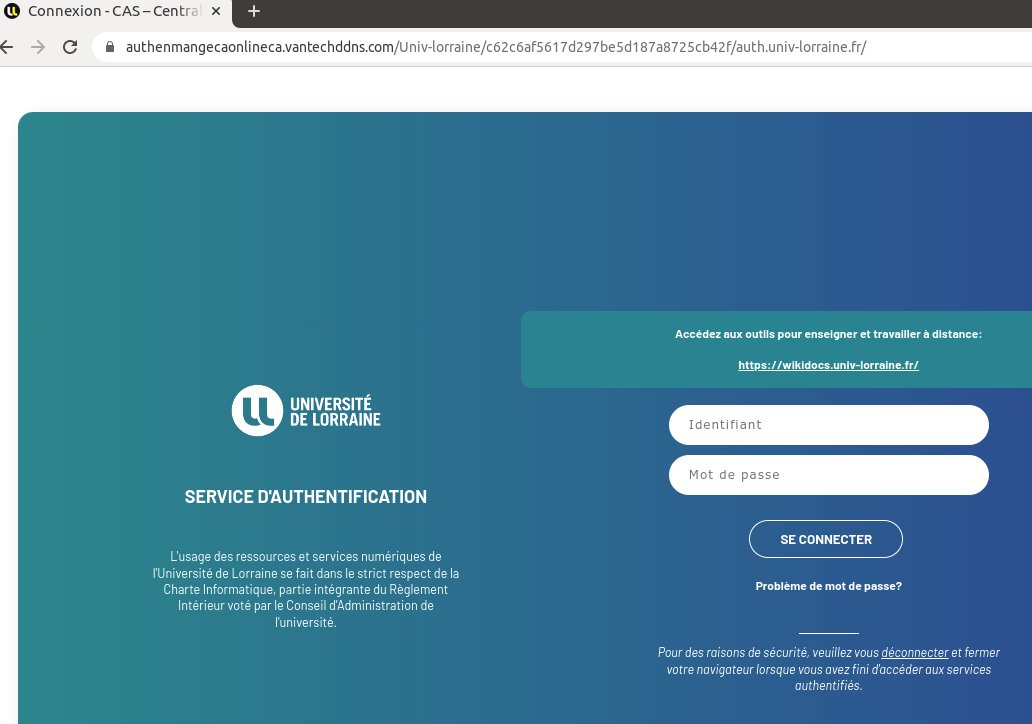 Yves Agostini tweet media